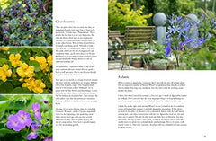 Containers in the Garden