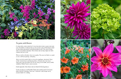 Containers in the Garden