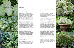 Containers in the Garden