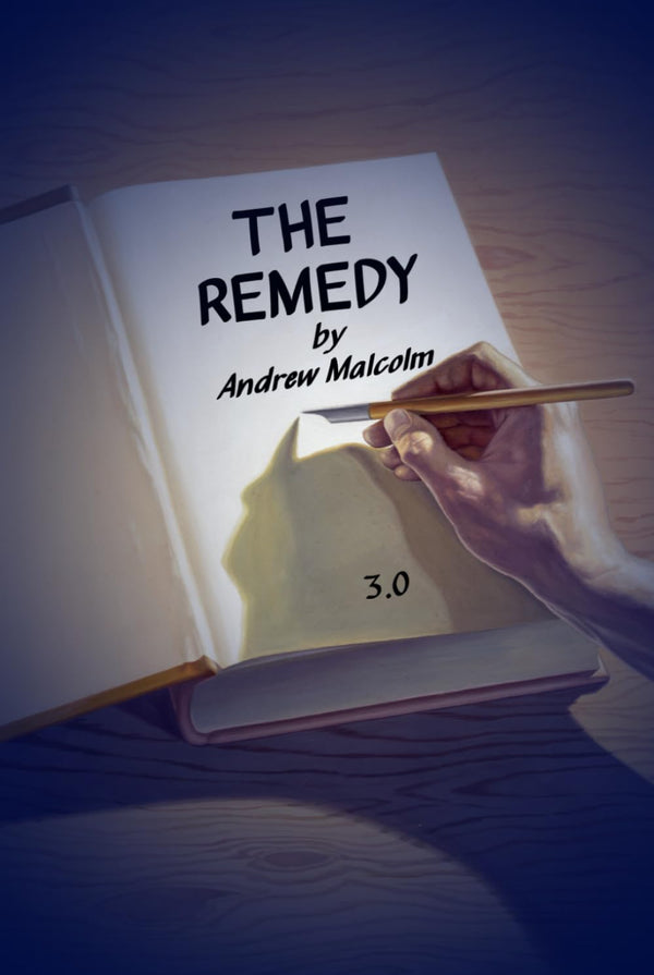 Cover of The Remedy 3.0: A True Story