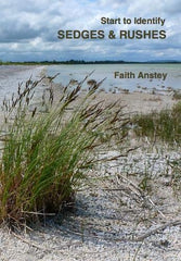 Start to Identify Sedges & Rushes