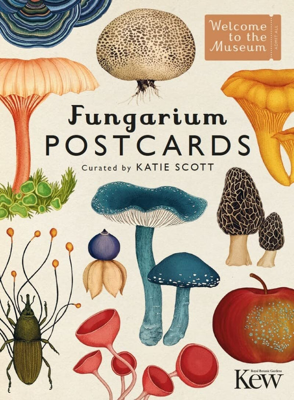 Cover of Fungarium Postcards by Katie Scott