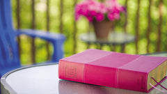 NIV Study Bible, Fully Revised Edition, Large Print, Leathersoft, Burgundy, Red