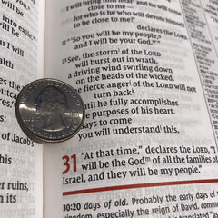 NIV Study Bible, Fully Revised Edition, Large Print, Leathersoft, Burgundy, Red