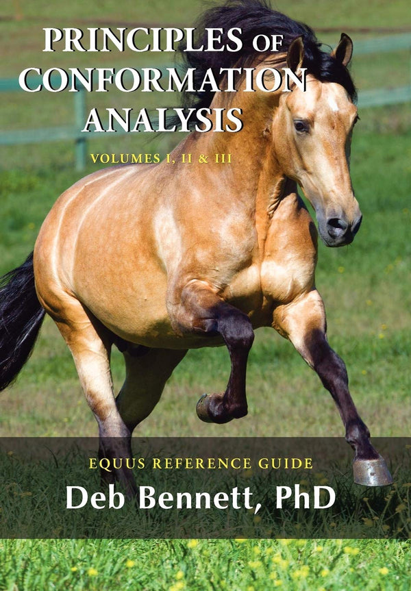 Cover of Principles of Conformation Analysis: Equus Reference Guide by Deb Bennett