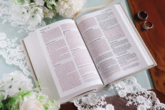 Niv, Bride's Bible, Cloth Over Board, Cream, Red Letter, Comfort