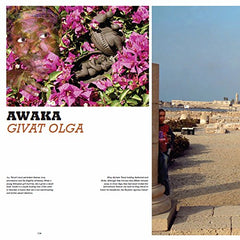 Family Matters: Courageous People in the Promised Land