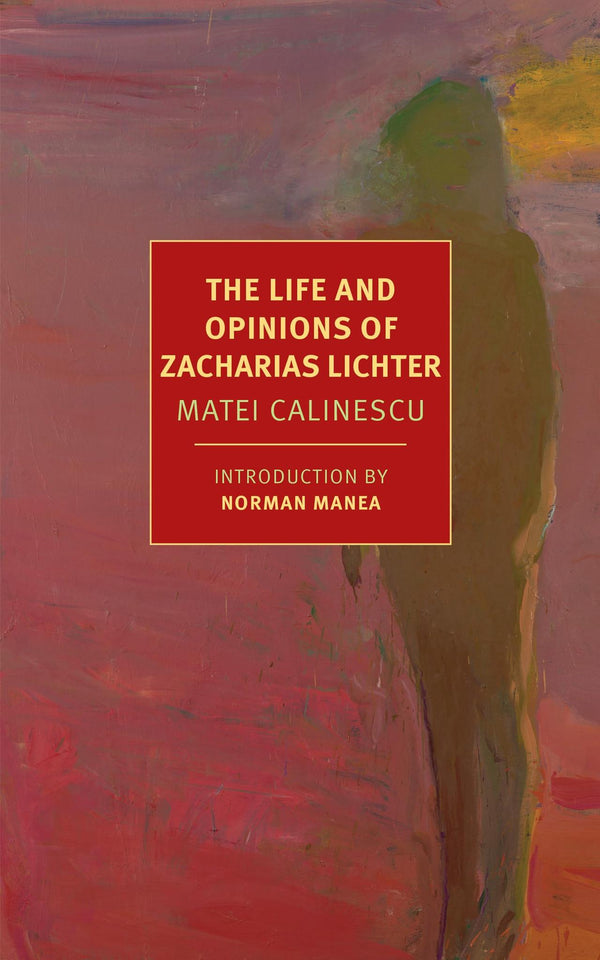 Cover of The Life And Opinions Of Zacharias Lichter (New York Review Books Classics) by Breon Mitchell
