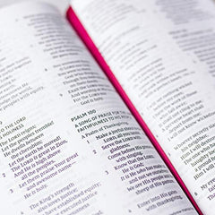 NKJV, End-of-Verse Reference Bible, Personal Size Large Print, Leathersoft, Brow