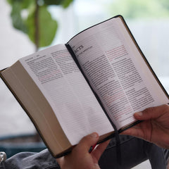 NKJV, End-of-Verse Reference Bible, Personal Size Large Print, Leathersoft, Brow