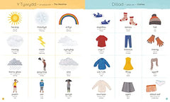 Pawb a Phopeth - Welsh / English Picture Dictionary | Welsh words