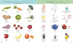 Pawb a Phopeth - Welsh / English Picture Dictionary | Welsh words