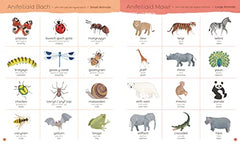 Pawb a Phopeth - Welsh / English Picture Dictionary | Welsh words