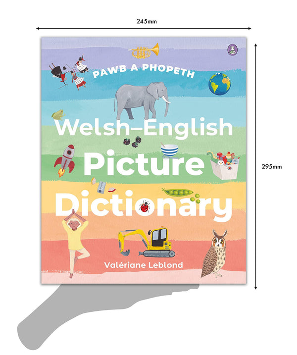 Pawb a Phopeth - Welsh / English Picture Dictionary | Welsh words