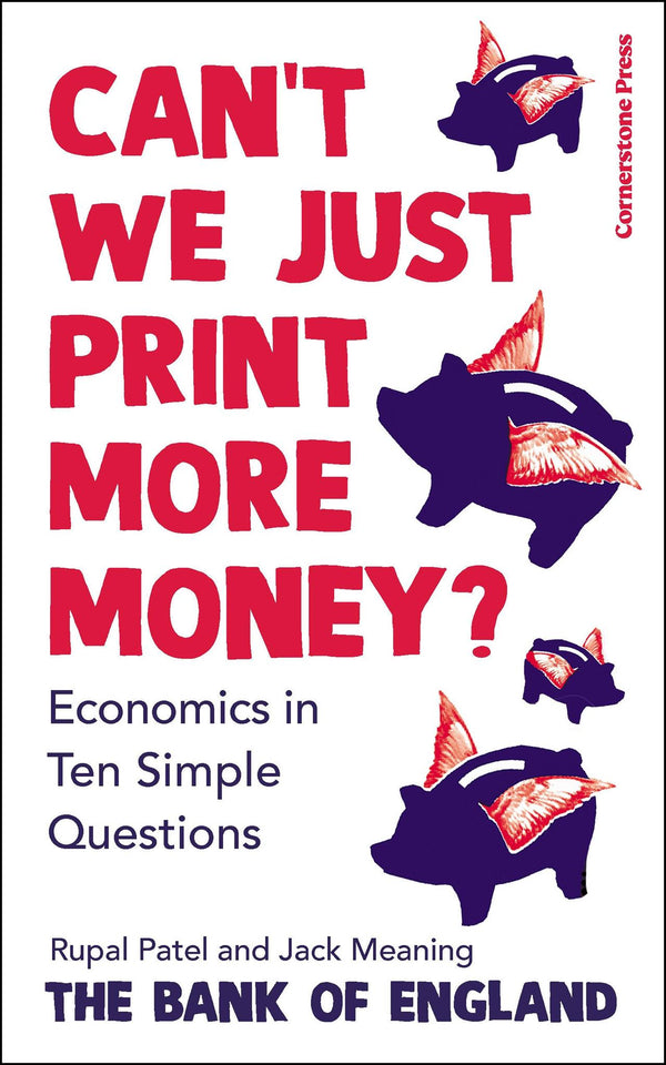 Can’t We Just Print More Money?: Economics in Ten Simple Questions by Rupal Patel - used book at Perkology Books