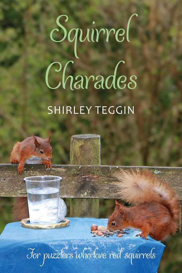 Squirrel Charades - a unique gift for puzzlers in your life