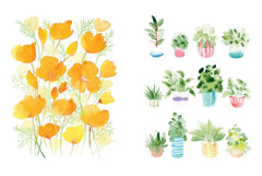 Draw Your Way: Botanical Watercolour: Add your own lines to create watercolour