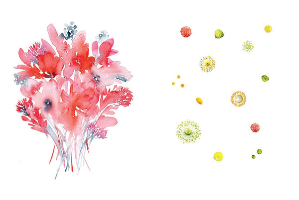 Draw Your Way: Botanical Watercolour: Add your own lines to create watercolour