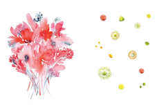 Draw Your Way: Botanical Watercolour: Add your own lines to create watercolour