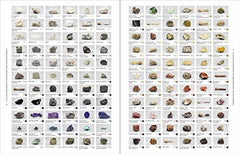 Nature's Palette: A colour reference system from the natural world