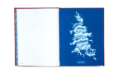 Photographs of British Algae: Cyanotype Imperfections Mandy Baker