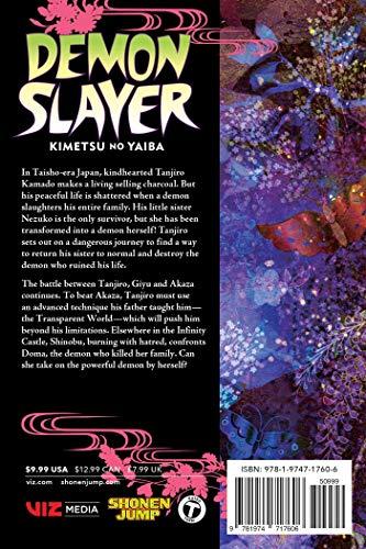 Demon Slayer: Kimetsu no Yaiba, Vol. 18: Volume 18