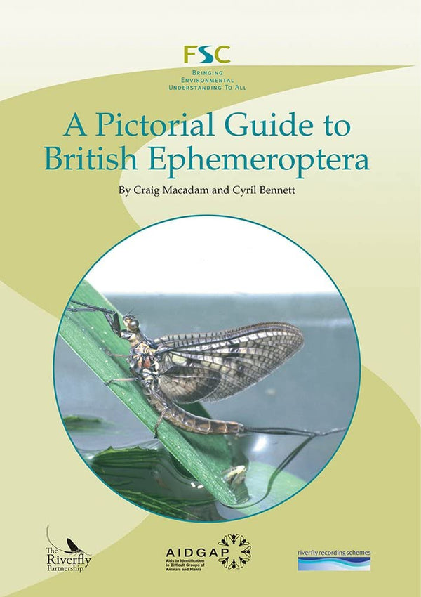 A Pictorial Guide to British Ephemeroptera (AIDGAP)