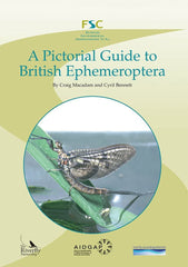 A Pictorial Guide to British Ephemeroptera (AIDGAP)
