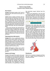 A Pictorial Guide to British Ephemeroptera (AIDGAP)