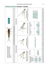 A Pictorial Guide to British Ephemeroptera (AIDGAP)