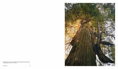 Mitch Epstein: American Nature