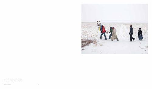 Mitch Epstein: American Nature