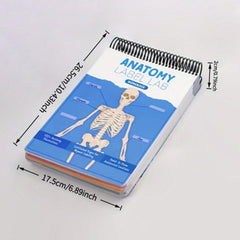 Anatomy Label Lab Workbook, Creative Human Anatomy Busy Book,