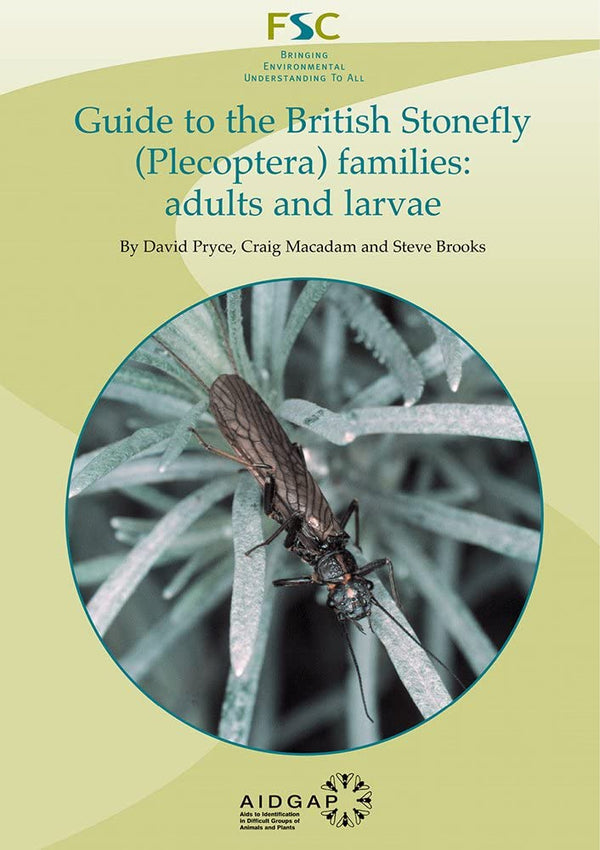Guide to the British Stonefly (Plecoptera) Families: Adults and Larvae (AIDGAP)