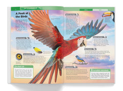 Knowledge Encyclopedia - Boxset of 8 Books for Children (Knowledge Encyclopedia