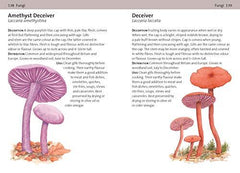 Concise Foraging Guide (Concise Guides)