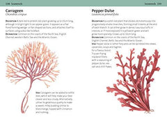 Concise Foraging Guide (Concise Guides)