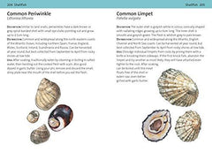 Concise Foraging Guide (Concise Guides)