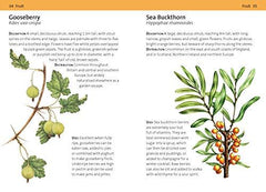 Concise Foraging Guide (Concise Guides)