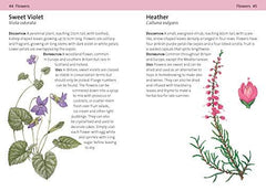 Concise Foraging Guide (Concise Guides)