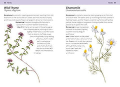 Concise Foraging Guide (Concise Guides)