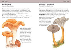 Concise Foraging Guide (Concise Guides)