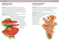 Concise Foraging Guide (Concise Guides)