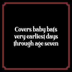 Goth Parenting: The Dark Joys of Raising Baby Bats