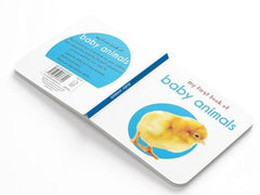 My First Library: Boxset of 10 Board Books for Kids: