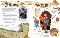 Hermione Granger: The must-have Christmas stocking filler for Potter fans!