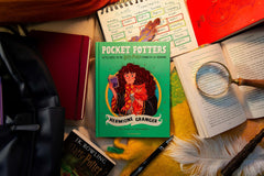 Hermione Granger: The must-have Christmas stocking filler for Potter fans!