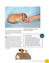 Clicker Training for Rabbits, Guinea Pigs,