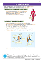 KS3 Science Complete Revision & Practice – Higher (includes Online Edition,