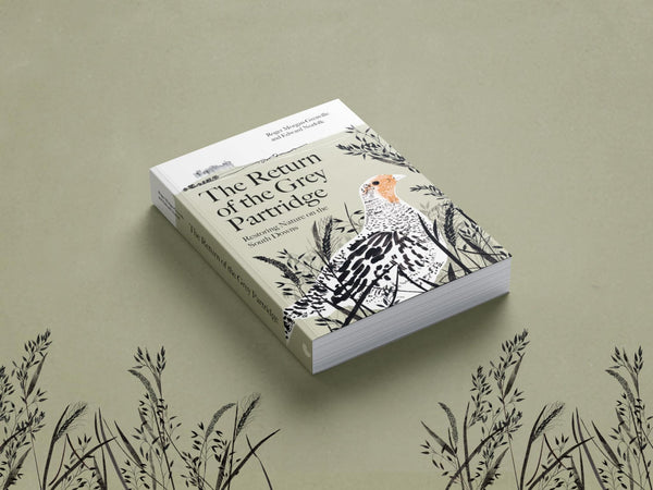 The Return of the Grey Partridge: Restoring Nature on the South Downs